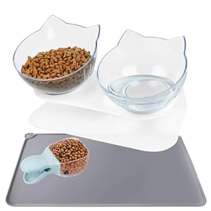 DMSELL Tilted Cat Bowls with Stand, Double Raised Cat Bowl Anti Vomiting, 15° Tilted Plastic Cat Feeding Bowl with Cat Food Mat and Scoop