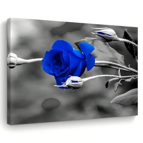 Tableau rose bleue XINBAO 60x80 cm pour décoration murale