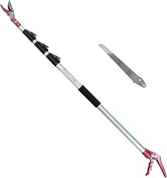 41xeMS7Un8L._AC_UF350,