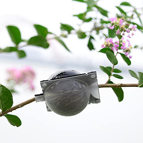 Supking Half Black Half Transparent Plant Rooting Propagation Ball,Air Layering Kit,Assisted Cutting Rooting,Reusable Plant Rooting Device,High Pressure Ball Grafting Device Root Box For Plants Rose.(8Pack) #TOP5