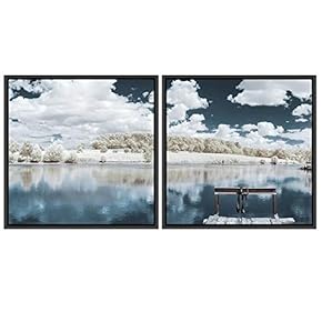 signwin 2 Piece Framed Canvas Wall Art Beautiful...