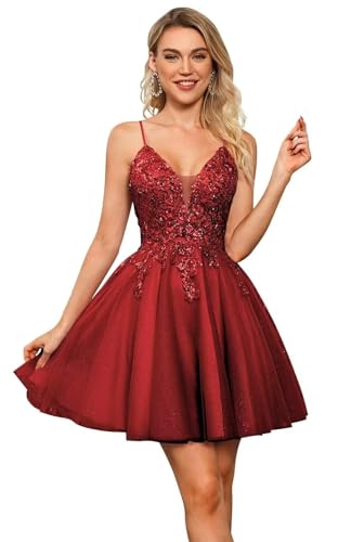 Lace Applique Homecoming Dresses for Teens 2025 Sparkly Tulle DAMA Dress for Quinceanera A-line V-Neck Short Prom Gown