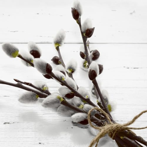 20 Servietten Frühling Natürliche Weidenkätzchen als Tischdeko. Papierservietten mit Motiv. Auch für Decoupage und Serviettentechnik 33x33cm