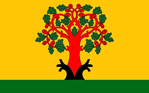 Drapeau de Tsivilsk République de Tchouvachie grand format pour mât - 2