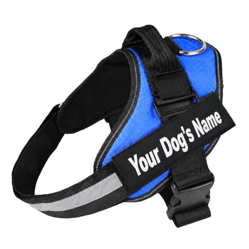 Dogshood Harness Personalized No Pull Dog Harness with Custom Name Patch Reflective Adjustable Dog Harness Breathable Padded Pet Vest Harness Buddy (Blue L)