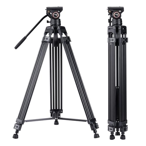 Cayer BF30L Video Tripod with Fluid Head, 73" Heavy Duty Tripod with 360 Degree Fluid Head and Quick Release Plate for DSLR, Camcorder, Cameras, 17.6 lbs playload