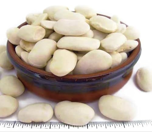 Semi di Fagiolo gigante spagnolo Rampicante a Corona, Bacello Piatto lungo e grosso, Confezione da 50 g