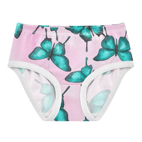 Turquoise Butterflies Pink Toddler Underwear Floral 2t Cotton Panties for Girl Artistic Briefs Underpants