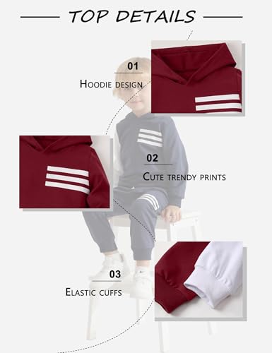 Image of Toddler Boy Clothes Long Sleeve Hoodie Sweatsuits Tops and Pants 2Pcs Boys Fall Winter Outfits Set