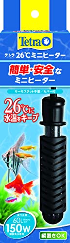 41xeZn4-H0L.jpg