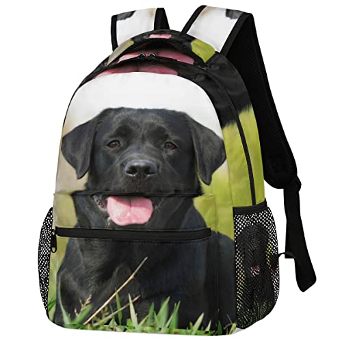 Mochila con estampado de perro labrador negro, lindo animal cachorro, mochila de hombro, casual, viajes, laptop, mochila de día, Estampado de perro labrador negro, 11.4(L) X 8(W) X 16(H) inch,