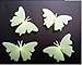 Price comparison product image Glow in The Dark 3D Butterfly Star Wall Stickers Fluorescent Luminous Sticker for Kid's Baby Nursery Home Decoration (Beige), 4pcs