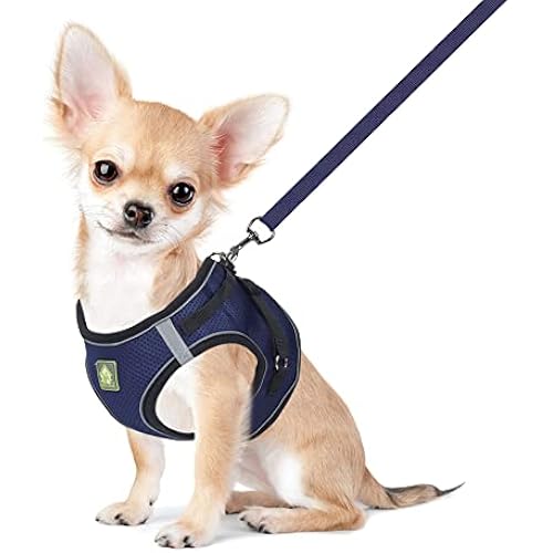 FEimaX Dog Harness and Leash Set Puppy and Kitten Vest Reflective for Safe