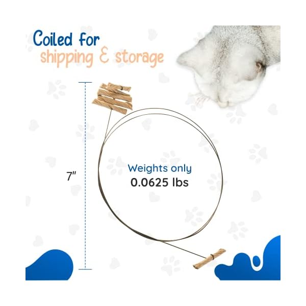 Cat Dancer Interaktives Katzenspielzeug – Spaß und Fitness für Ihren pelzigen Freund – fesselnde Papierrolle befestigt mit 76,2 cm flexiblem Federstahldraht für verspielte Katze – Bild 4
