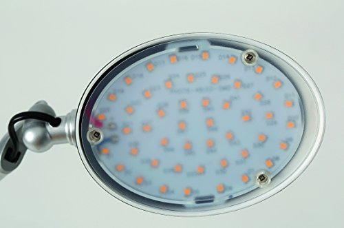 ALBA Fluo Burölampe LEDJAZZ N – Bild 4