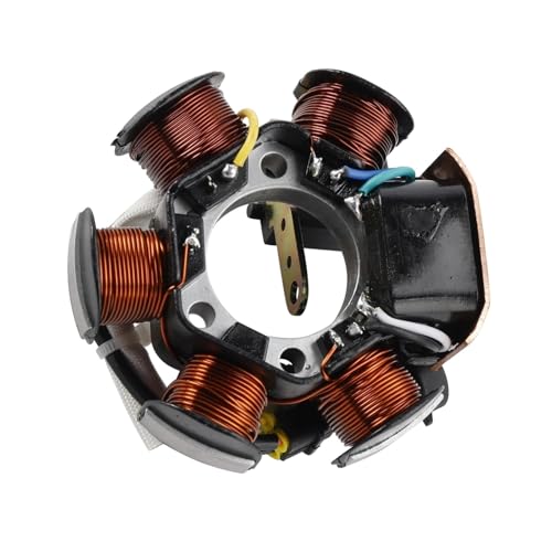 Stator pour 50 SR Motard et R Factory Mojito 2Tallumage de rechange