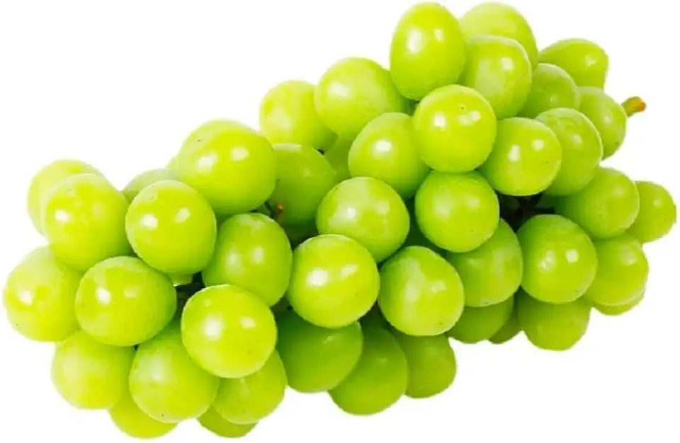 Fresh White Grapes Import 500g