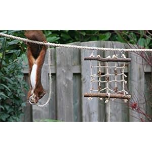 Eekhoorn Voedertouw | Urenlang kijkplezier met eekhoorns | Capriolen op het touw | 5 meter touw | Eekhoorn voeren | Eekhoorn voederhuisje