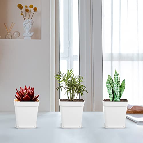 40 Pack 2.7 Inch Small Square Plastic Plants Seed Starting Pot Flower Pots Nursery Transplanting Planter Container With Drainage Holes And Tray For Home Garden Balcony And Office Decor (White) #TOP7