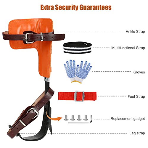 Tree Climbing Spikes,Tree Climbing Gear Adjustable Pole Climbing Spurs Tool Stainless Steel Climbing Upgrade Cow Leather Straps Non-Slip Pedal For Climbers, Logging, Hunting Observation,Fruit Picking #TOP2