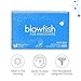 Blowfish for Hangovers - Fast Hangover Relief in 15 Minutes | Headache Relief, Energy, and Hydration in One Step | Single Box
