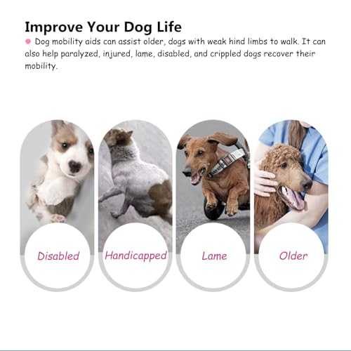 Fauteuil roulant pour chien handicapé et chat réglable à 4 roues