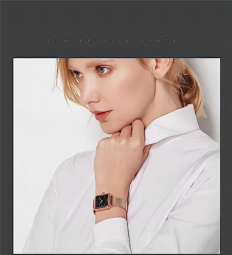 Basfur Dress Watch Fe-Montre-077-01
