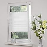 Made in Germany, patentiertes System; Material: lichtdurchlässiger Stoff, (100% Polyestergewebe), Klemmträger bis 22 mm Falzstärke verstellbar; Breiten 40, 60, 75, 80, 90, 100 cm / Höhe: 130 cm / Farben: weiß, beige,weiß, ecru (beige), grau, apfelgrün