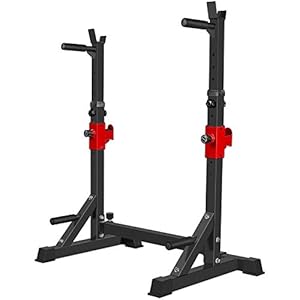 AKYEN Adjustable Squat Rack Stand, Barbell Rack, Dip Bar Station Adjustable Bench Press Rack 850LBS Max Load Multi-Function Weight Lifting Home Gym