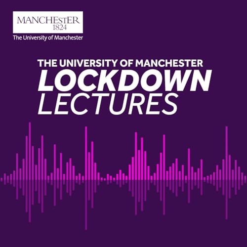 Professor Michael Wood - Lockdown Lecture Episode Twelve
