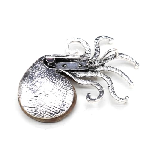Image of Natural Fossil Brooches Ammonite Shape Conch Shell Apparel Pin for Coat Dress Clothes Decoration