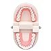 Angzhili 1 Piece Dental Demonstration Orthodontic Model with Metal Wires and Bracket (Metal bracket)
