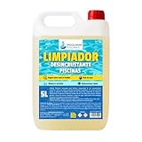 Limpiador Desincrustante para Piscinas – Limpieza Total Profesional |...