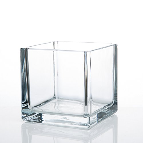 Richland Square Glass Cube Vase 5"