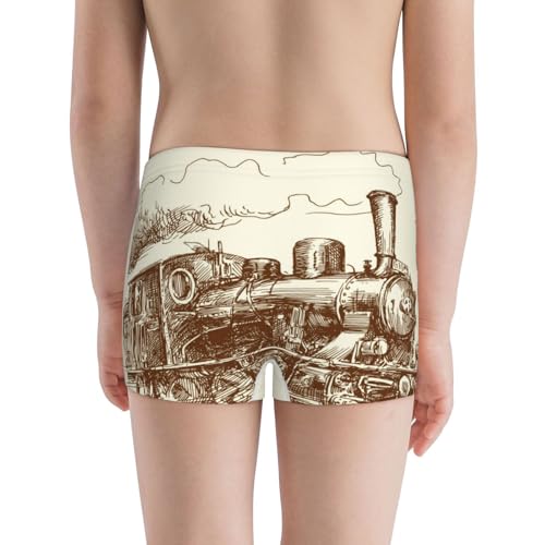 Boys' Cotton Boxer Brief Soft Underwear-Train3