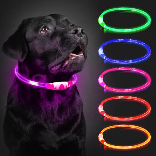 CoCoDonut LED Leuchthalsband Hund, USB aufladbar, Sicherheit bei Nacht – Ansicht 1