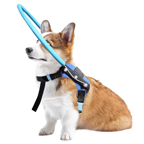 Pettorina per cani ciechi, collare protettivo guida con cinghie riflettenti, dispositivo di sicurezza per cani con problemi di vista