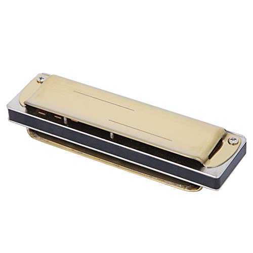 Harmonica, 10 Trous Harmonica Blues F Key Harpe Instrument de Musique à Vent Débutant Pratique Harmonica Instrument… - Les Beatles, Paul McCartney, John Lennon, RIngo Starr, George Harrison Harmonica, 10 Trous Harmonica Blues F Key Harpe Instrument de Musique à Vent Débutant Pratique Harmonica Instrument… – Image 8