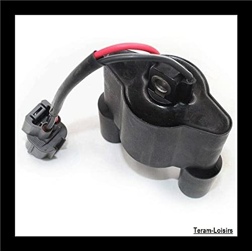 Teram Loisers - Bobina de encendido compatible para Kawasaki Ultra LX de 2007 a 2019
