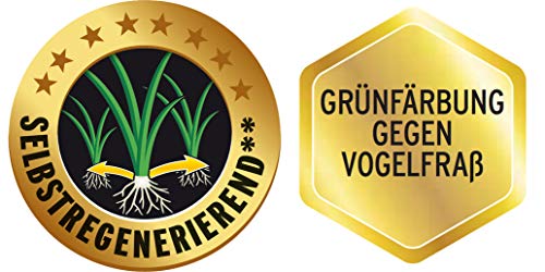 Substral Rasensamen Der Robuste, Sport- und Spielrasen, Einzigartige Strapazierrasen-Mischung, 5 kg für 250 m² - Image 5