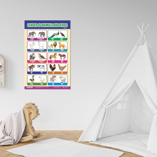 Image of ESCAPER Gender of Animals & Birds Educational Charts for Kids, (11.5 x 17.5 inches), Kids Study Material, Learning Chart, Perfect For Home Schooling, Nursery Students