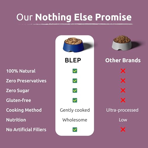 Image of BLEP All Recipes 100% Natural Wet Cat Food | Tuna, Mackerel, Sardine, Juicy Chicken & Cheeky Chicken | Human Grade, Zero Preservatives | High Protein Meal for Kittens & Adult Cats | 50g | 60 Pack
