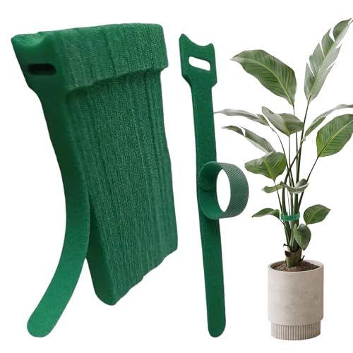 |pAoh - 20 ΐF iC T|[g Xgbv Ap,Opt@Xi[ - K[f gX   O _ p g}g uhE  LE