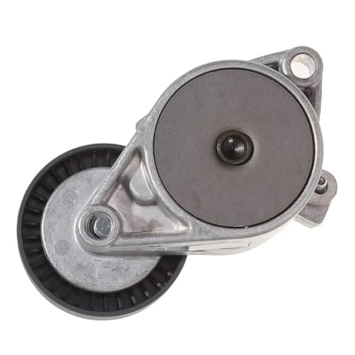 Tendeur de courroie 11281427252 pour BMW E46 E39 X3 X5 E60