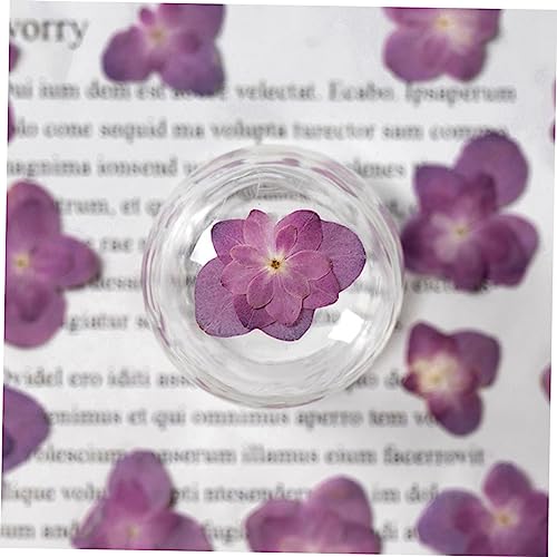 Alipis 30 piezas flores prensadas secas para manualidades miniatura 7