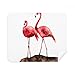 Flango Couple Red Love Cleaning Cloth Screen Cleaner 2pcs Suede Fabric