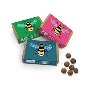 SEEDBALL Bienen-Mix Wildblumen-Samenbomben (3er-Pack)