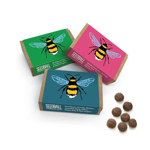 SEEDBALL Wildflower Seed Bombs for Bees Thank You Teacher Gifts (Pack of 3) | Eco-Friendly British Wild Flower Seed Mix for Bees & Garden Wildlife - Gardening Gift for Women & Wildlife Supporters