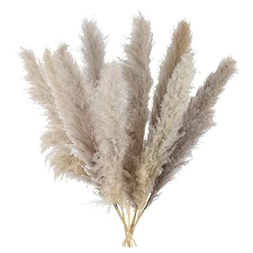 LIPJISL 8PCS Hierba de Pampa Artificial 115CM Flores Secas Pampa Grises Secas Naturales Grand Plantas Secas Ramo de Bricolaje Pampas Decoracion para Jarrones Boda Balcon Exterior e Interior Hogar