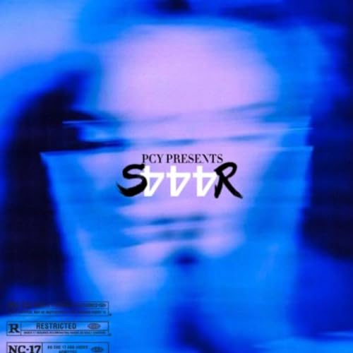  S4R [Explicit]